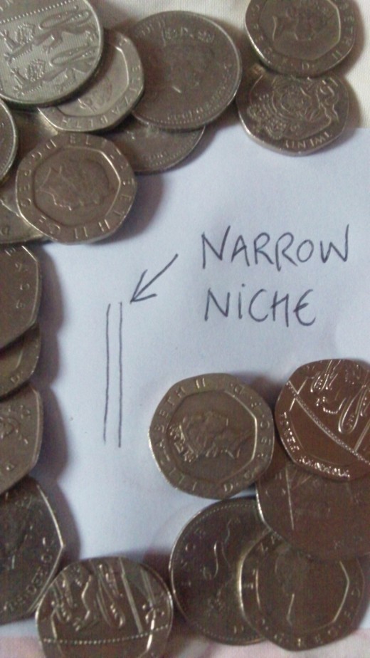 Making Money With Narrow Niches.