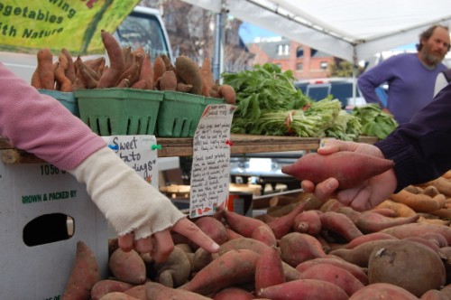 Sweet Potatoes For Sale In A Farmers Market