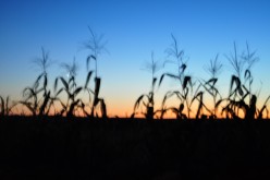 Be Thou My Vision: The Hymn That Gave Me Strength While Dealing With a Relative's Drug Addiction