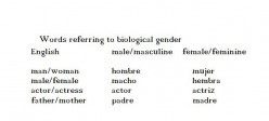 Grammatical and Biological Gender in Spanish