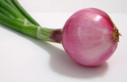 Onions Contains Inulin and been used for Centuries as Roughages and or Fibers