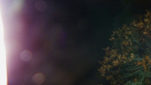 Up close and personal. Several orb images approach the Lens. 
