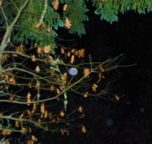 Captured with a Kodak S.L.R on an auto setting, 3 second delay flash. No more than 3 feet distance from the lense. Clear cold conditions. No flash blow back.