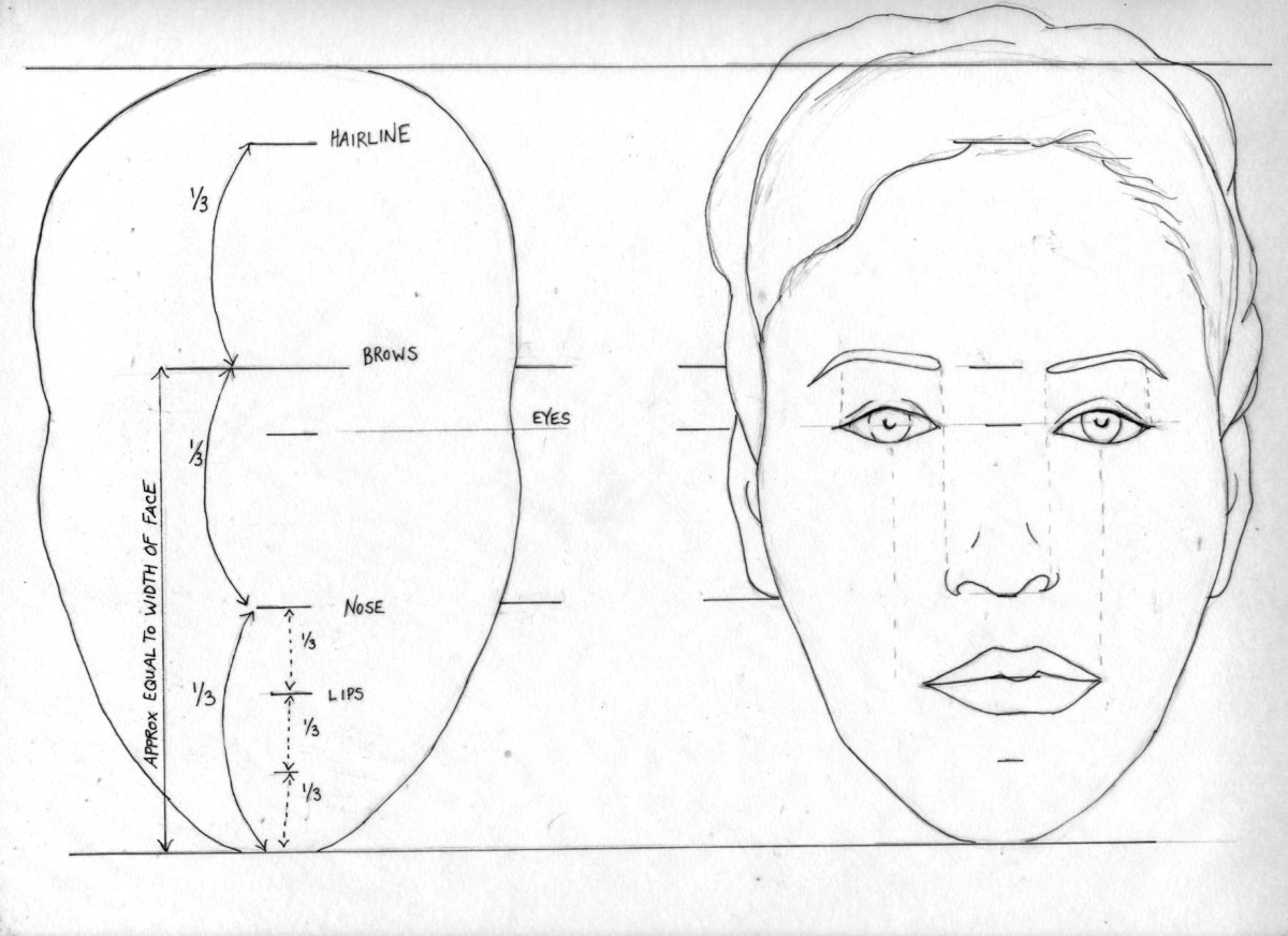 The Road Map to a Proportional Face for Portrait Artists
