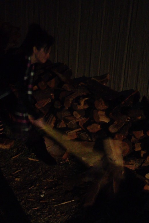I don't know how to upload videos from my phone without having to upload them to a site like You Tube first. So here is a snapshot of me chopping wood. It's a little dark and blurry.