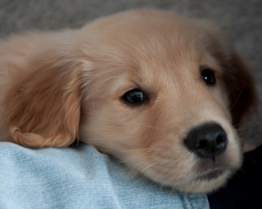 I'm a cutie too!