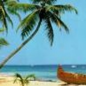 TravelNews profile image