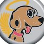PetCollars profile image