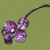 pull beads, fold in half, twist 1 & 4 holding 2 & 3