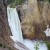 Lower Yellowstone Falls from the bottom of Uncle Tom's Trail Lower Yellowstone Falls from the bottom of Uncle Tom's Trail