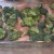Chicken and broccoli Chicken and broccoli