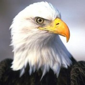 onunddy profile image