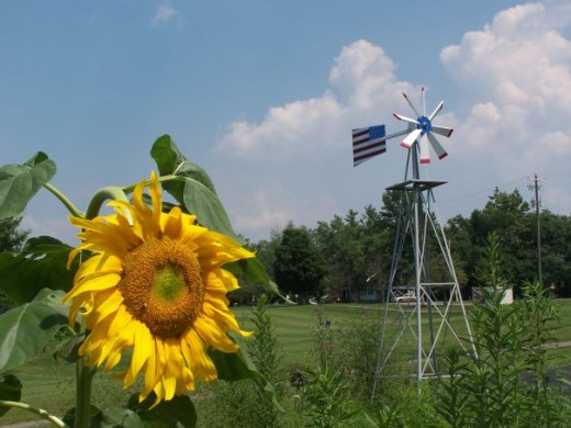 Indiana Garden 