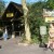 Entrance to Kilimanjaro Safaris. There are many "rangers" who can direct you to where you want to go. Entrance to Kilimanjaro Safaris. There are many "rangers" who can direct you to where you want to go.