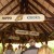 Learn the East African language of Harambe while you wait to go on your safari! Learn the East African language of Harambe while you wait to go on your safari!