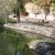 Crocodiles enjoying the warm sun Crocodiles enjoying the warm sun