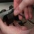 Plug the other end of the cable to the headset output on the bottom of the Xbox 360 controller.