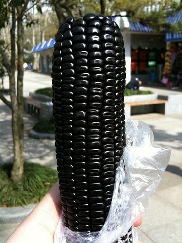 Would you eat a black corn? I would.