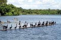 Photos of Nicaragua:  The Islands of Granada