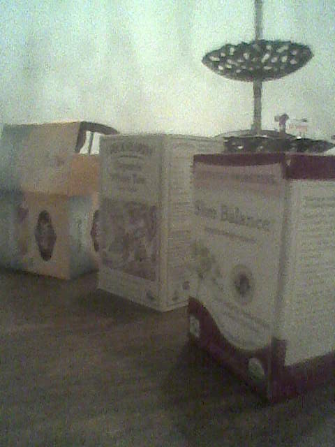 Yogi, GoodEarth and other tasty teas are just what the herb doctor ordered.
