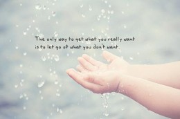 https://usercontent1.hubstatic.com/6276066_f260.jpg