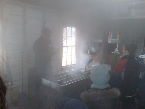 A great deal of steam is created in the sugar shack as sap boils down to maple syrup