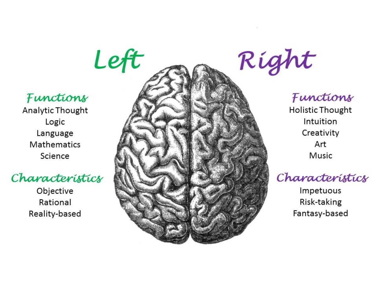 Left Brain Right Brain Characteristics Chart