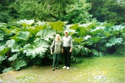 http://s3.hubimg.com/u/6278530_f248.jpg