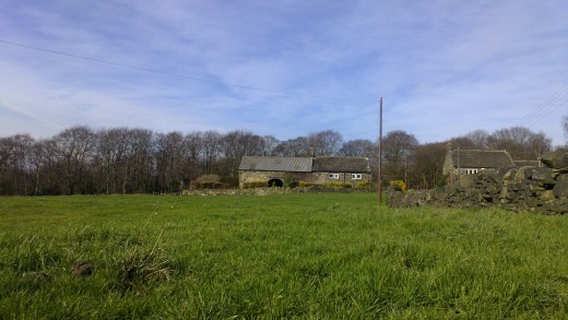 Farmhouse N9