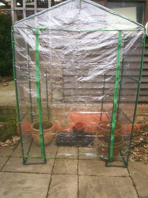 Grow seeds in a portable green house