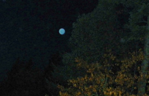 Master teacher sighted at Oregon Orb House