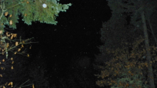 Clear and dark, spirit generated Orbs fill the night sky of Oregon Orb House