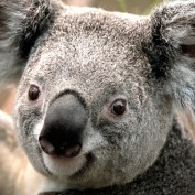 dylmyster12 profile image