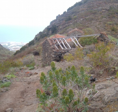 Las Moradas deserted farmhouse. Photo by Steve Andrews