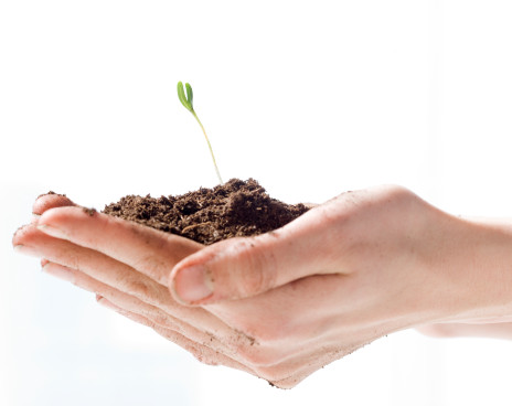 Are leaders born or are they made?