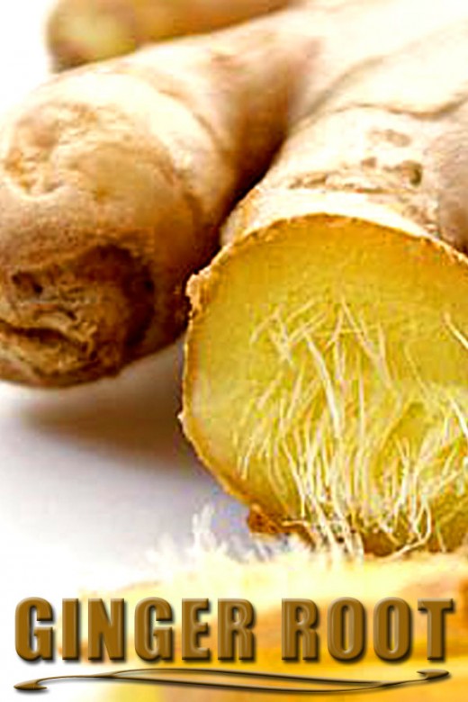 How to Treat Your Dog's Upset Stomach Naturally PetHelpful