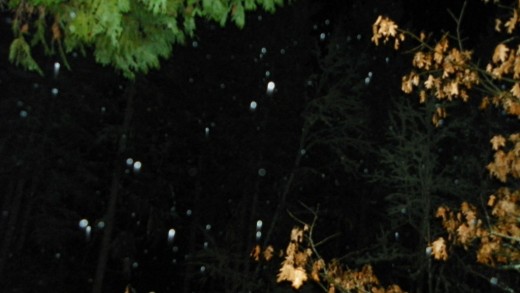 Spirit generated orb images captured in a snow fall. Note the directional change as well as the shape.