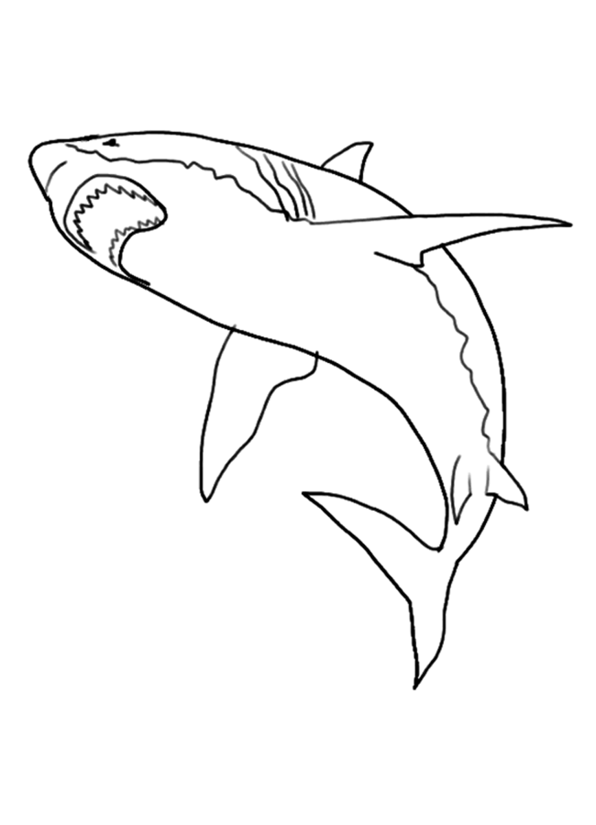 Download Pictures of Sharks for Kids to Color In | HubPages