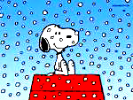 Not every dog loves the snow