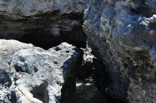 Like most successful first timers Sarah Hay wrote about what she knew and loved and that was the harsh, arid landscape of her childhood. She was brought up on Aroona station, 120 km east of Esperance and her family used to ...