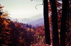 http://s4.hubimg.com/u/6303227_f248.jpg
