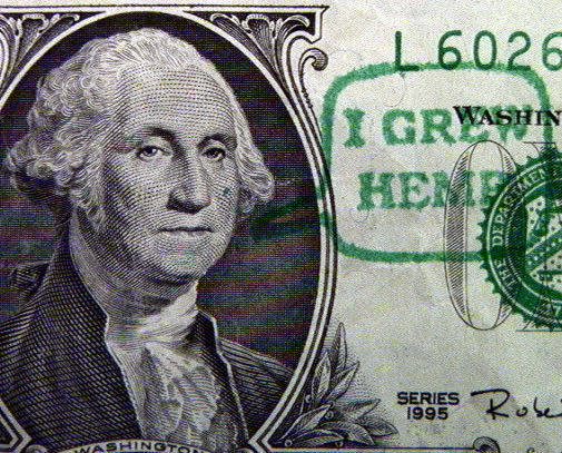 George Washington grew hemp on his Mount Vernon plantation.