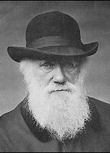 Charles Darwin: Evolutionist.   2/12/1809 - 4/19/1882