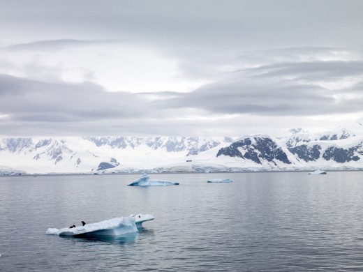 Iceberg!