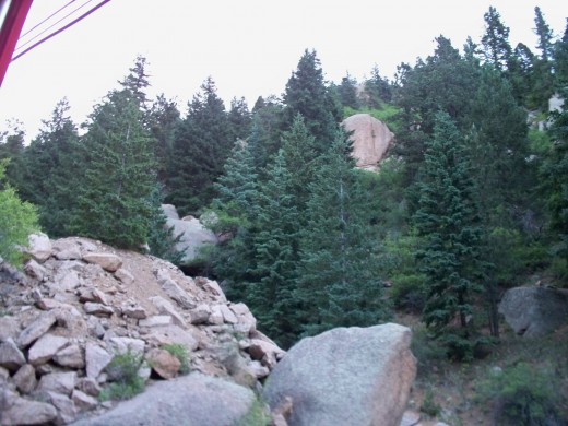 Rocks and Trees at the beginning of the trip
