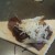 Layers of roast beef, caramelized onion and Mozzarella Cheese Layers of roast beef, caramelized onion and Mozzarella Cheese