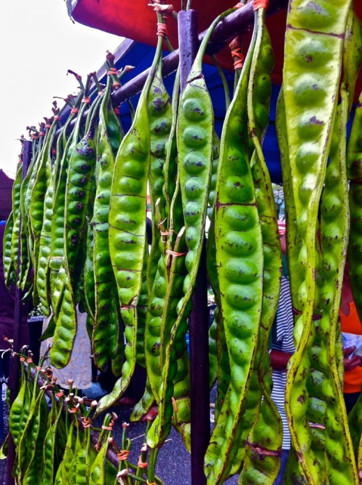 Fresh petai/sator (stinky beans)