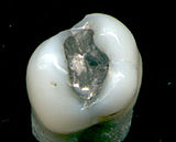 http://s1.hubimg.com/u/6327352.jpg