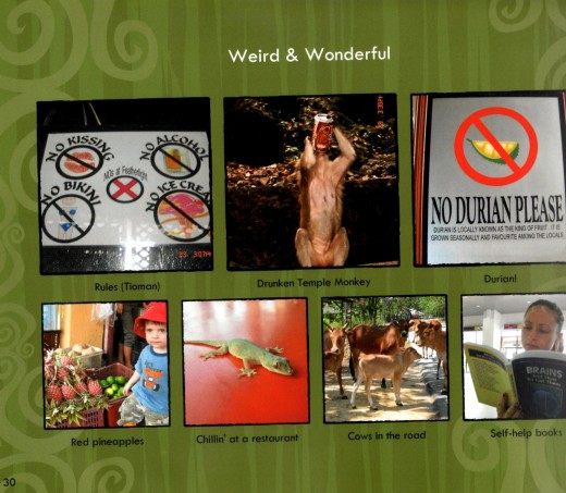 Top. L; a sign in Pulau Tioman; C. a  thieving monkey; R. a courtesy to western tourists. Bottom L to R.: Ronan admiring tiny red pineapples; a  lizard on a red table in restaurant; Indian cows on the road; Tara with self help book