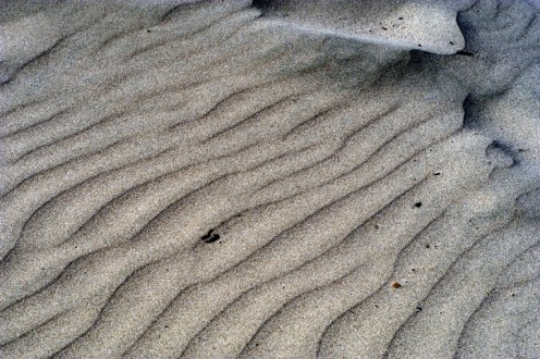 Sculptured Sand